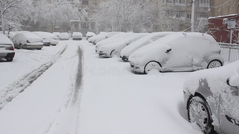 Sneeuw behandelde auto's