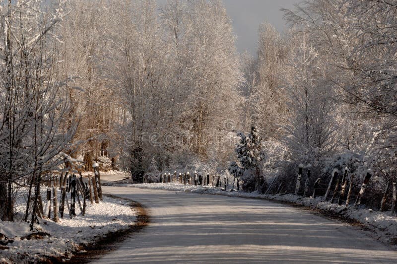 Sneeuw behandelde weg die door een sneeuwlandschap verdraaien stock afbeelding Sneeuw behandelde weg die door een sneeuwlandschap verdraaien stock afbeelding