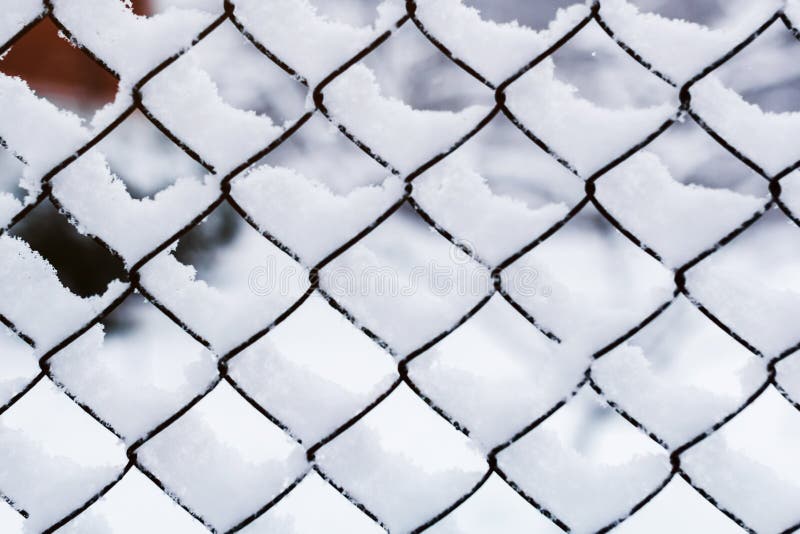 Sneeuw op het net Ijzernetwerk met sneeuw in de winter wordt behandeld die stock foto's Sneeuw op het net Ijzernetwerk met sneeuw in de winter wordt behandeld die stock foto's
