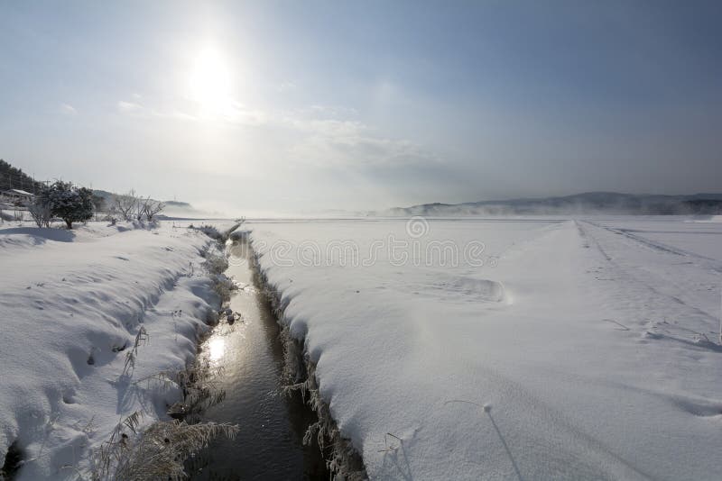 Sneeuwaarde met zon royalty-vrije stock afbeelding