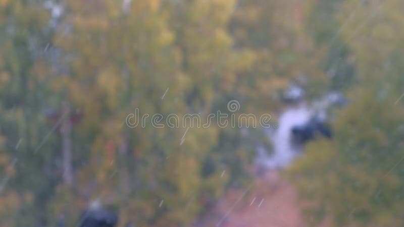 Sneeuwstorm in de herfst met vallende sneeuw, regen, wind op kleurrijke bomen achtergrond