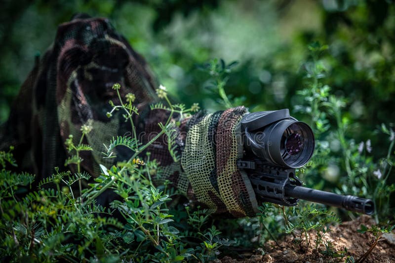 Camouflaged Sniper in the Forest Stock Image - Image of rifle, sights:  148201387