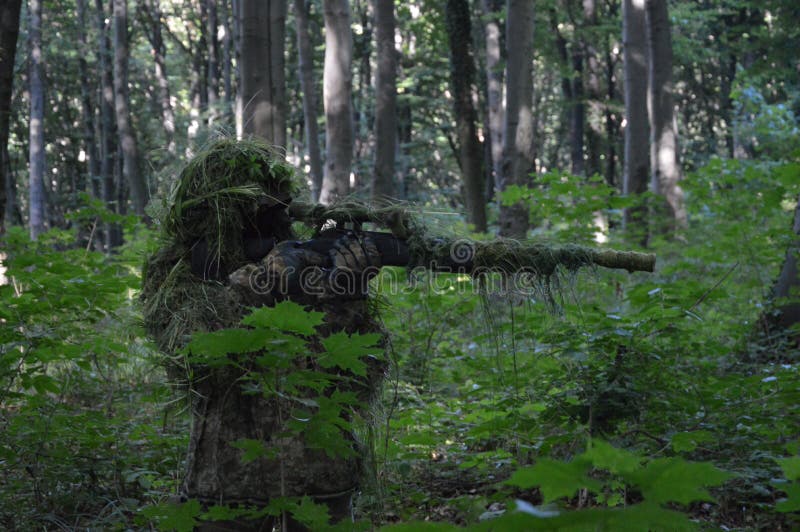 Camouflaged Sniper in the Forest Stock Image - Image of rifle, sights:  148201387