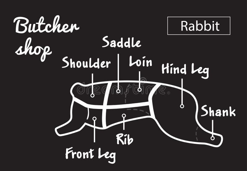 Snitt av kanin Affischslaktarediagrammet för livsmedel, köttdiversehandel, slaktare shoppar, bondemarknaden Kaninkontur vektor royaltyfri illustrationer Snitt av kanin Affischslaktarediagrammet för livsmedel, köttdiversehandel, slaktare shoppar, bondemarknaden Kaninkontur vektor royaltyfri illustrationer
