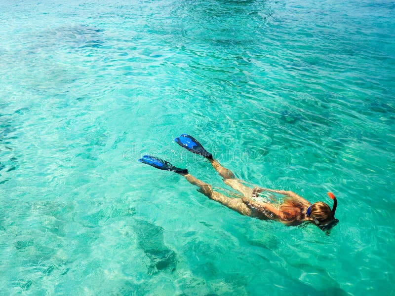 snorkeler obraz royalty free snorkeler obraz royalty free