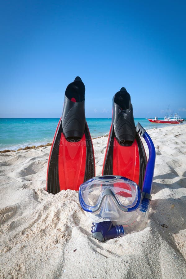 Snorkeling in Caribbean Sea of Mexico Stock Image Image of diving, reef 26170145