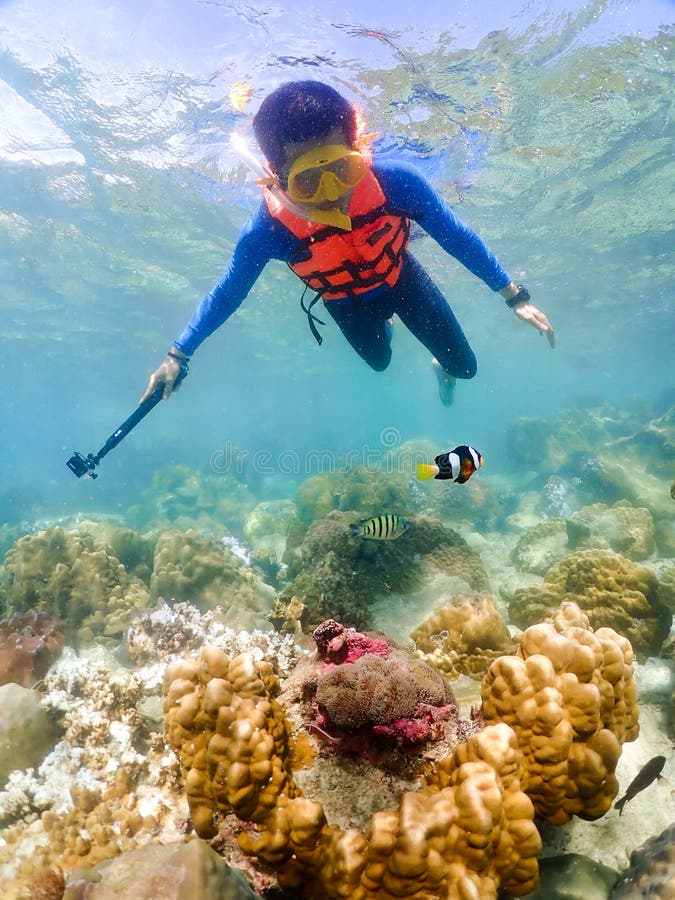 Snorkeling on Island in the Thailand Ocean Stock Image Image of