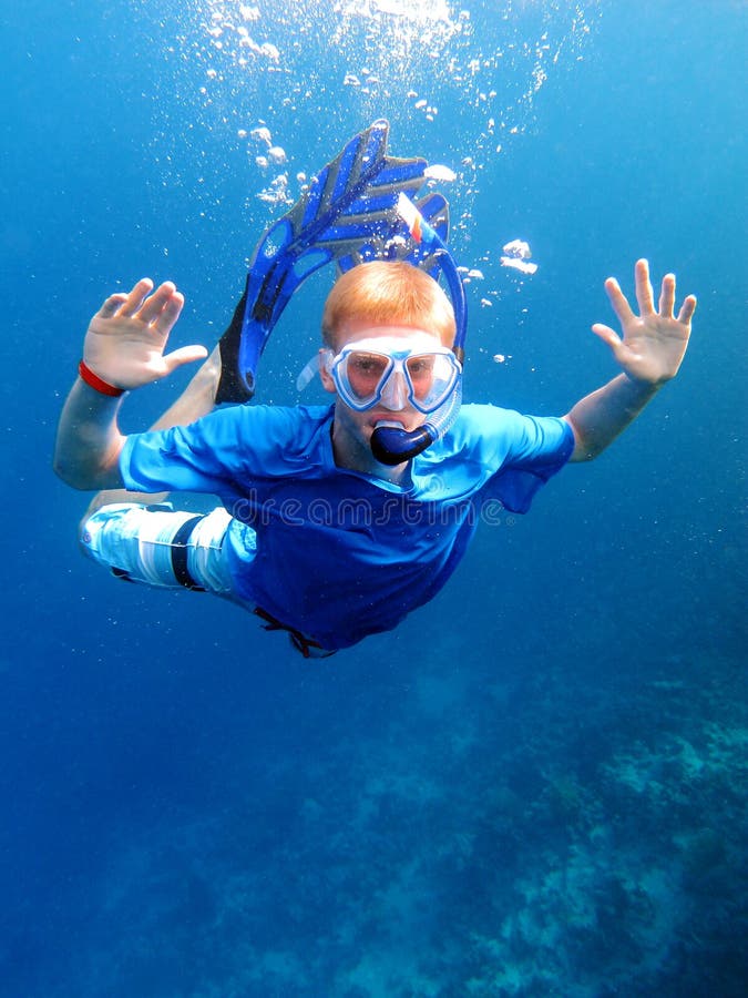 Snorkeling underwater stock image. Image of aqua, corals 20643477