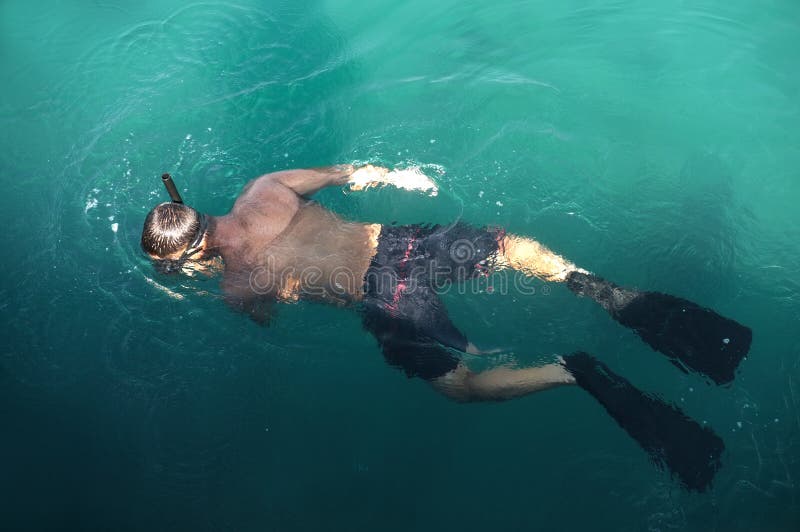 Snorkeling на поверхности воды стоковая фотография rf Snorkeling на поверхности воды стоковая фотография rf