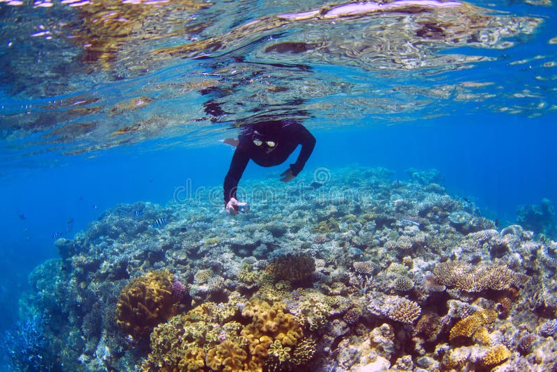 Man snorkeling at the Great Barrier Reef. Man snorkeling at the Great Barrier Reef.