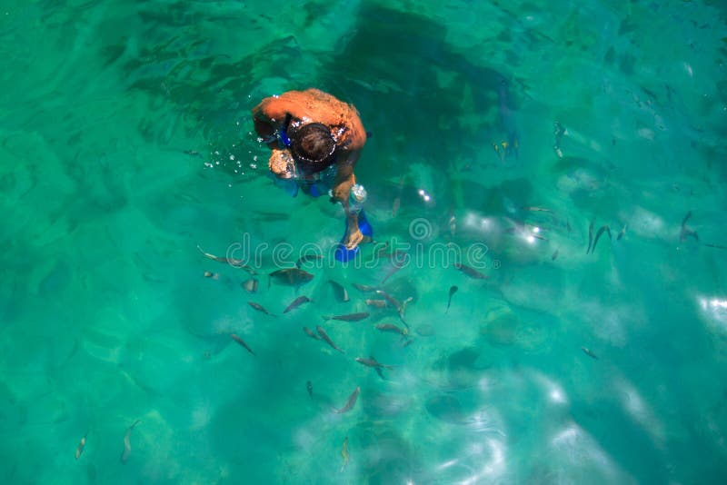 Snorkla mannen med fisken fotografering för bildbyråer Snorkla mannen med fisken fotografering för bildbyråer