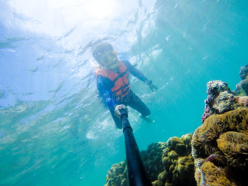 Snorkla på ön i det Thailand havet arkivbilder Snorkla på ön i det Thailand havet arkivbilder