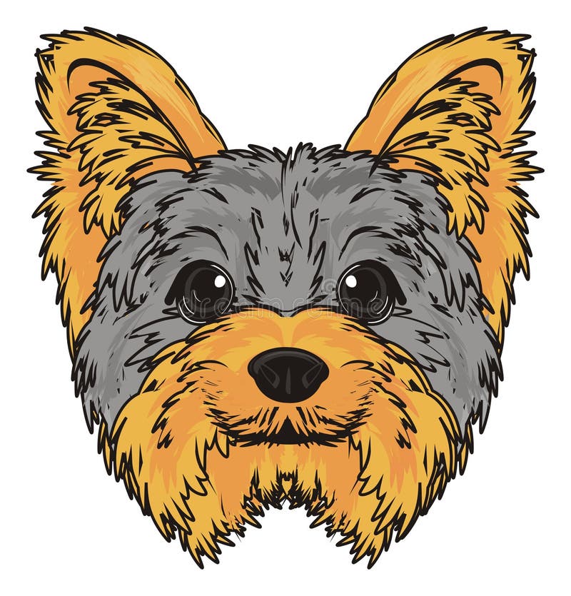 muzzle for a yorkie