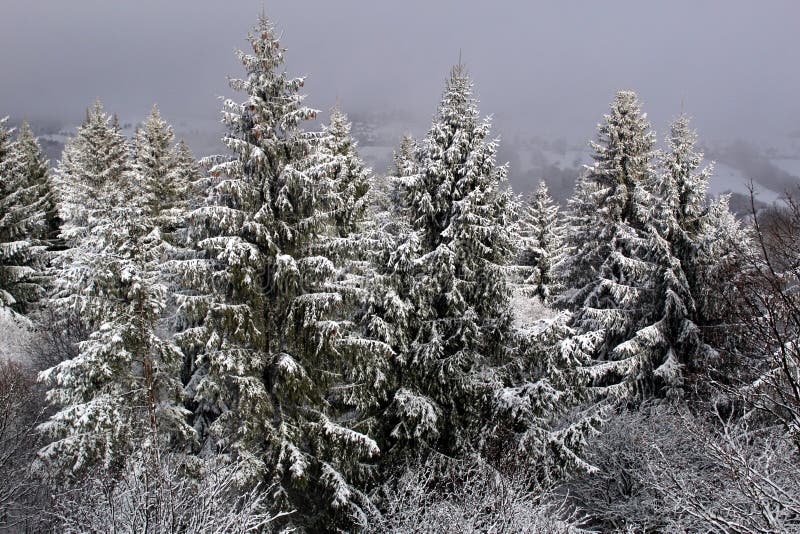 Winter nature view somewhere in Slovakia,