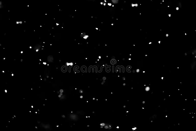 Snow on black background: Bạn đã bao giờ nhìn thấy tuyết rơi trên nền đen chưa? Bức hình này sẽ khiến bạn cảm thấy giống như một mùa đông như thật. Sự tương phản giữa tuyết trắng và nền đen sẽ khiến bạn say mê.