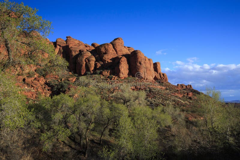 Snow Canyon, Utah