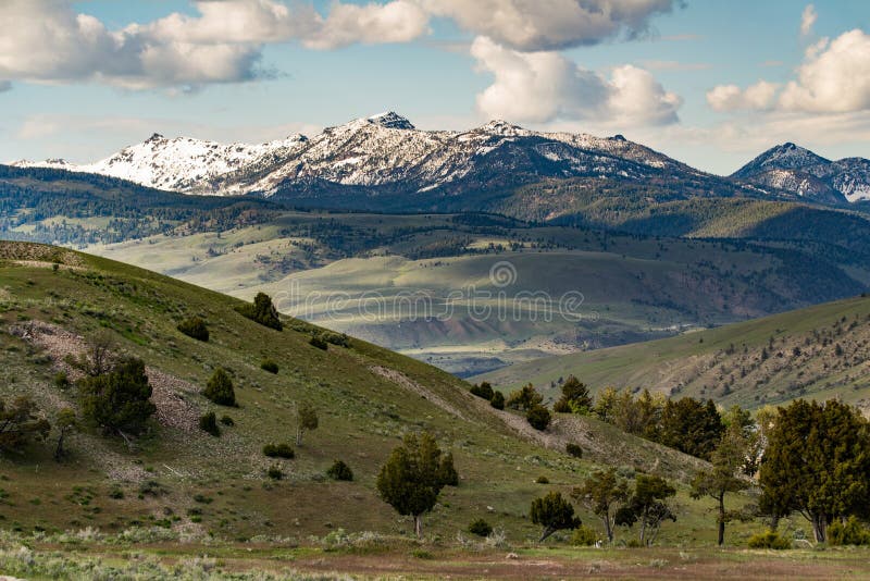 Snow cap mountain landscape - Yellowstone National Park