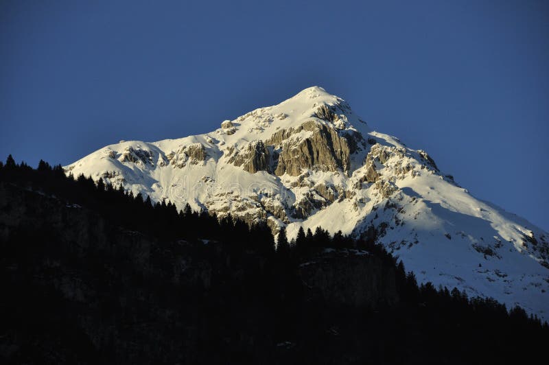 Snow capped Alps royalty free stock photo