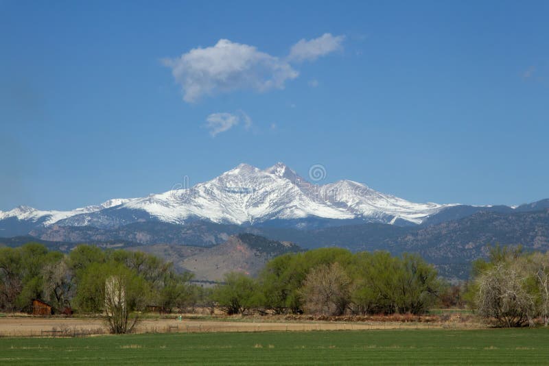 Hermoso de la nieve limitado anhela cima a primavera verde a árboles en primer plano.