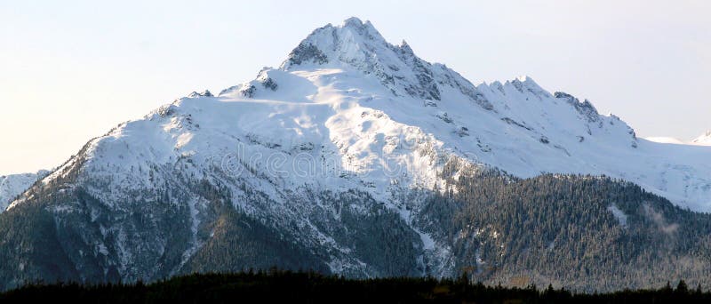 Download Snow capped mountain stock photo. Image of trees, frost ...