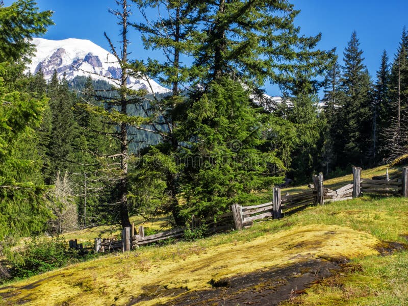 Snow Capped Mountain With Trees And Meadow Stock Photo Image Of Field