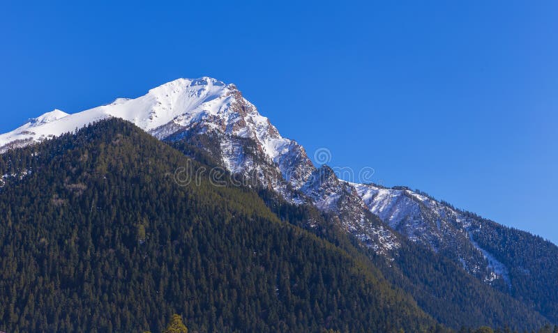 Snow Capped Mountains And Green Fields In Spring Stock Photo Image Of