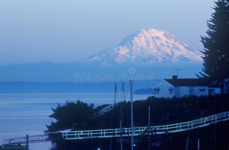 Snow-capped Mt. Rainier, from Seattle, WA royalty free stock photography