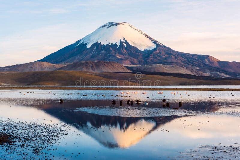 Snow capped Parinacota Volcano, Chile stock photography