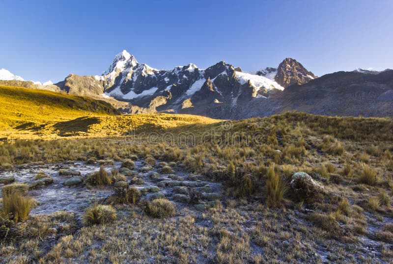 Snow-covered Andes mountains at sunrise and frozen grass meadow