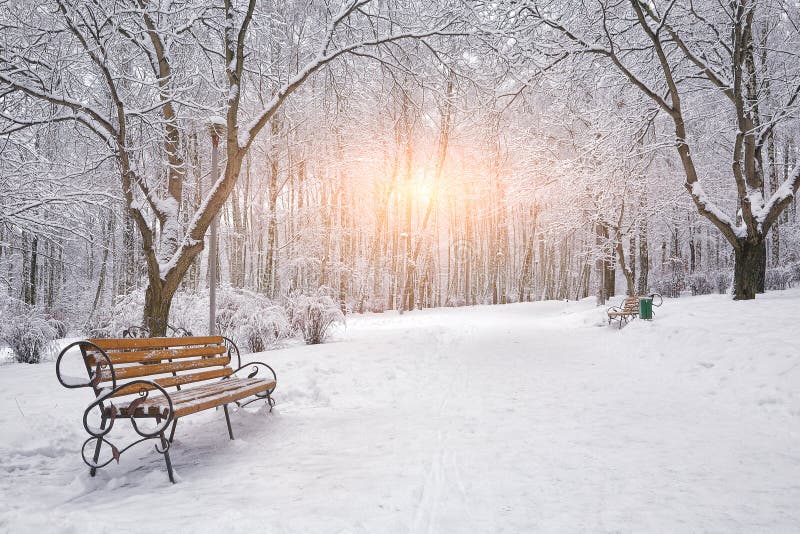 Snow-covered bomen en banken in het stadspark royalty-vrije stock foto's Snow-covered bomen en banken in het stadspark royalty-vrije stock foto's