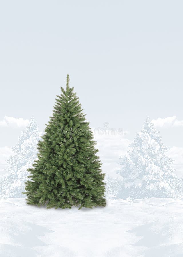 Snow Covered Christmas Tree Scene Stock Image Image of scenic