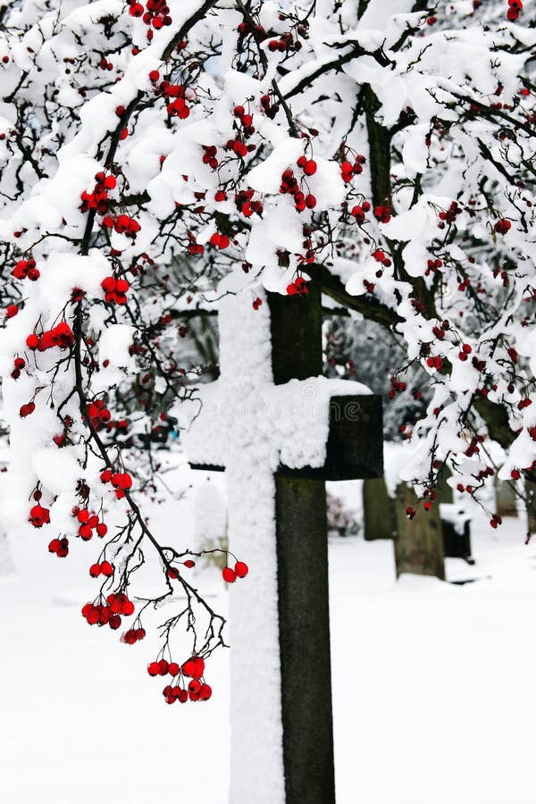 Snow covered cross