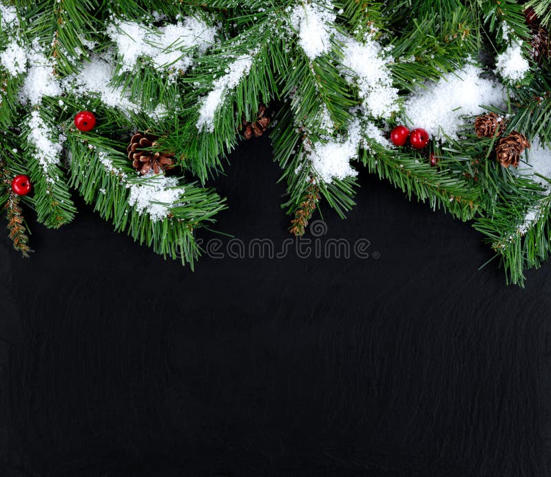 A Holiday Border From Evergreen Branches Stock Photo, Picture and Royalty  Free Image. Image 16442432.