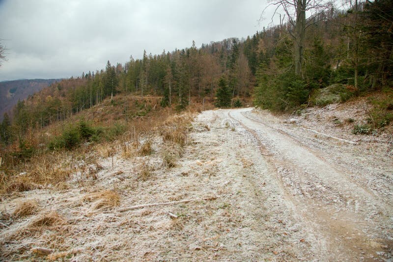 Snow covered forest gravel road in the mountains, Slovakia