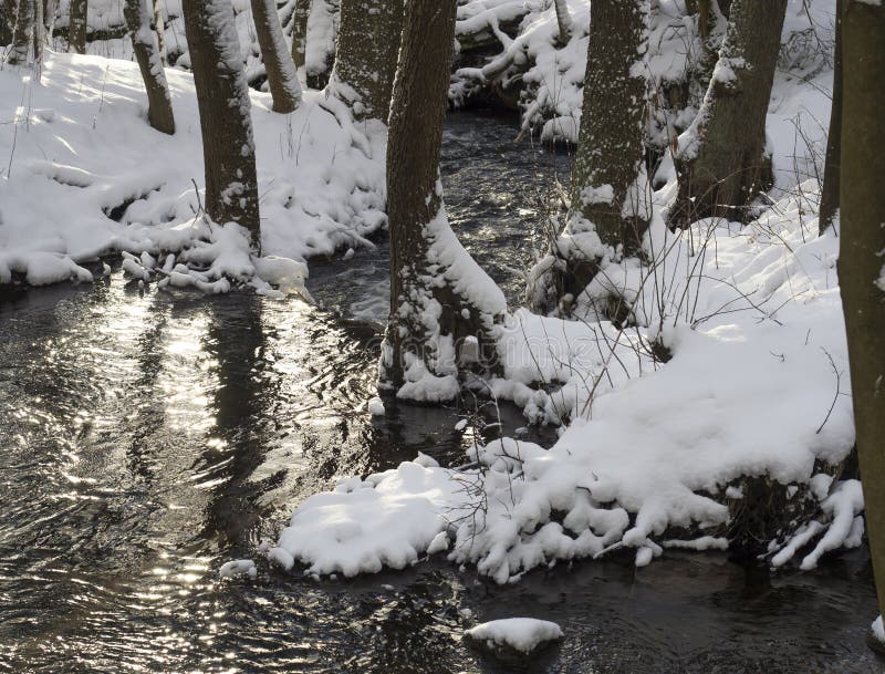 Snow covered forest water stream creek with trees, branches and stones, idyllic winter landscape in golden hour sun stock photos Snow covered forest water stream creek with trees, branches and stones, idyllic winter landscape in golden hour sun stock photos