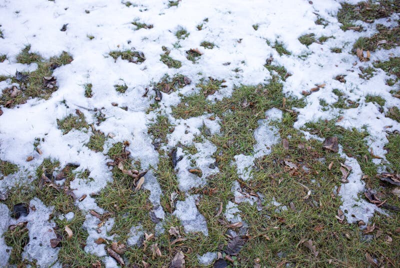 Snow Covered Ground With Pine Trees At The Foot Of Mountain During