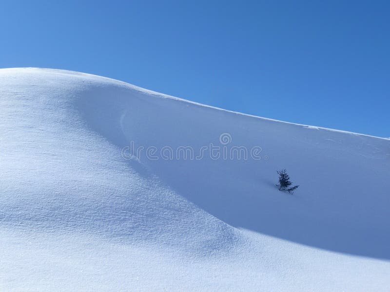 Perfect snow landscape stock image. Image of wide, season 2936797