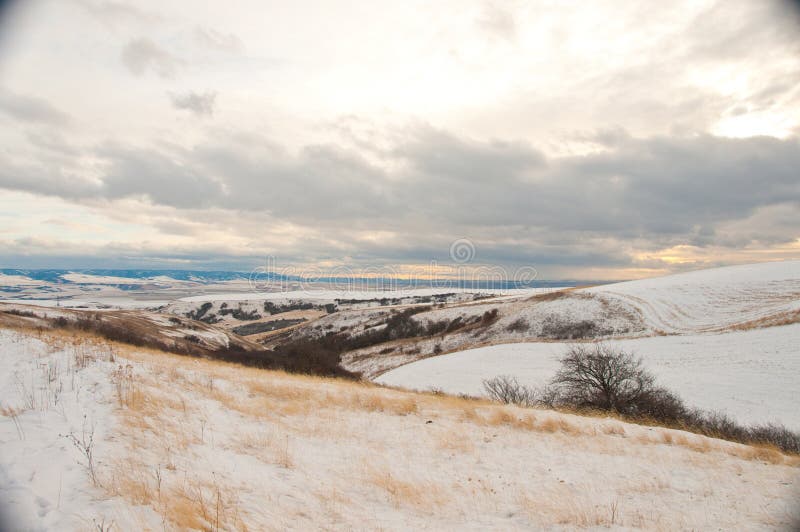 Snow covered hills of the Palouse Region just north of Lewiston, Idaho.