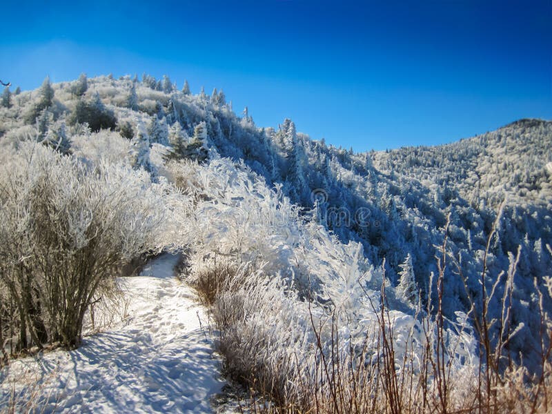 Snow Covered Mountain Trail