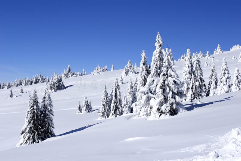 Z sneh pokrytý hora a stromy.