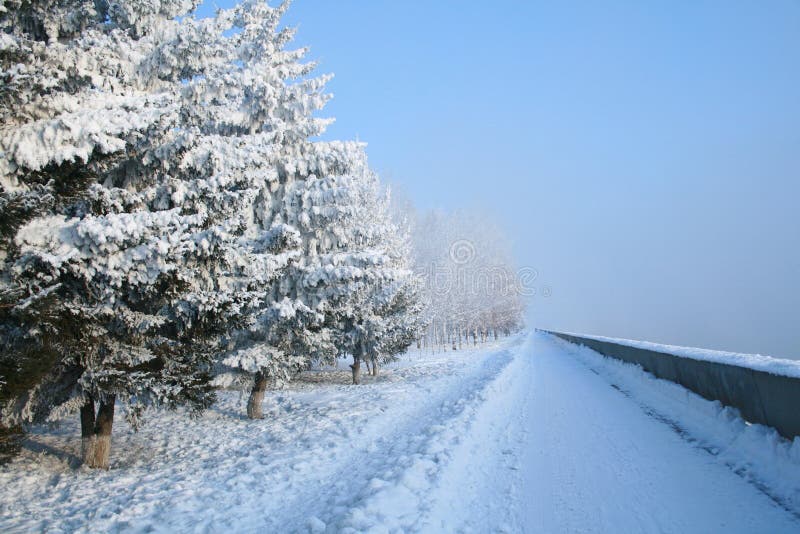 Snow-covered path royalty free stock images Snow-covered path royalty free stock images