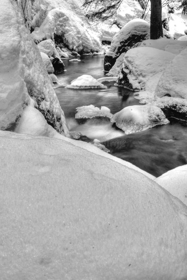 Snow covered riverbank