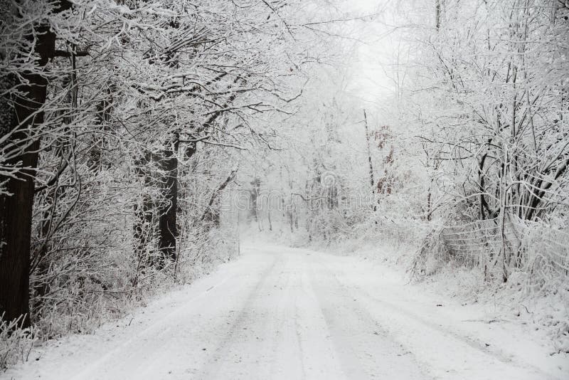 Snow Covered Road