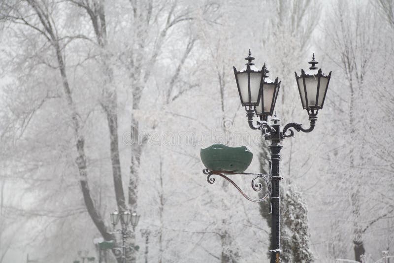 Snow-covered street lamps and trees on a city boulevard