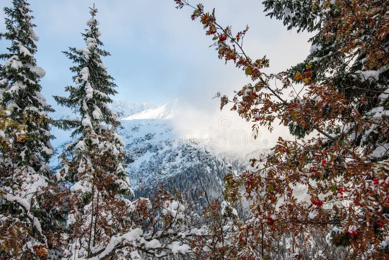 Zasněžené turistické stezky na slovensku Tatry