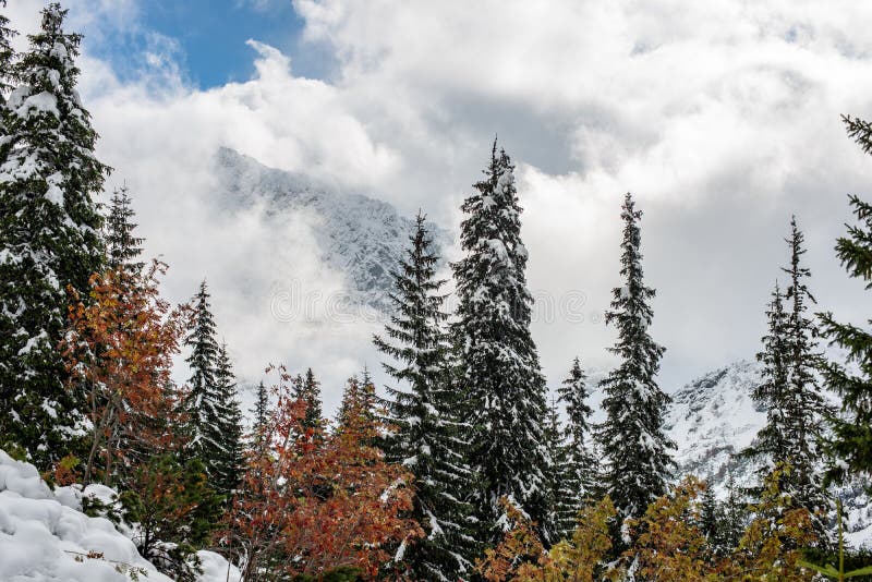 Snow covered tourist trails in slovakia tatra mountains