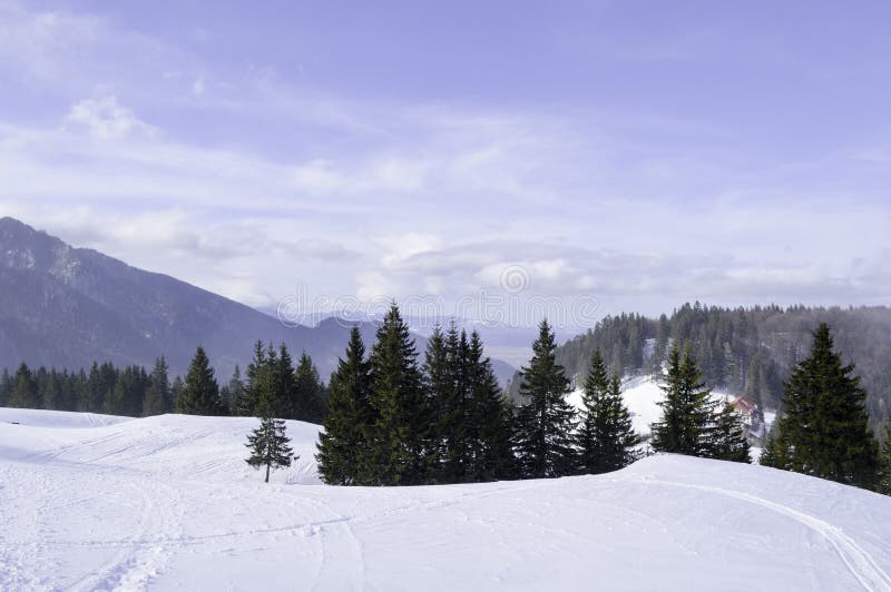 Snow Covered Trees in the Mountains. Winter Landscape. Snowflake, beautiful.