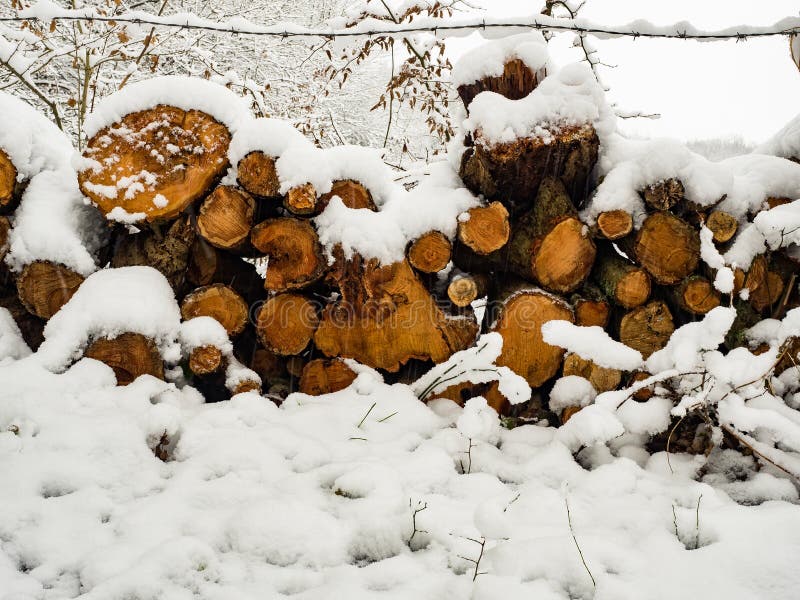 Snow on cut wood, stock photo. Image of frozen, temperature 130576488