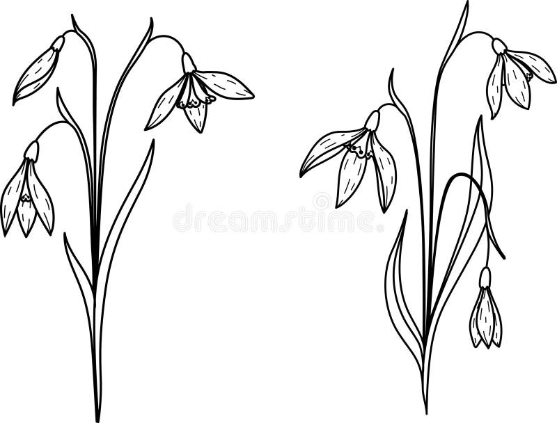 Temporary Tattoos 6 Birth Flowers January-june Rose Daffodil Carnation  Snowdrop Violet - Etsy