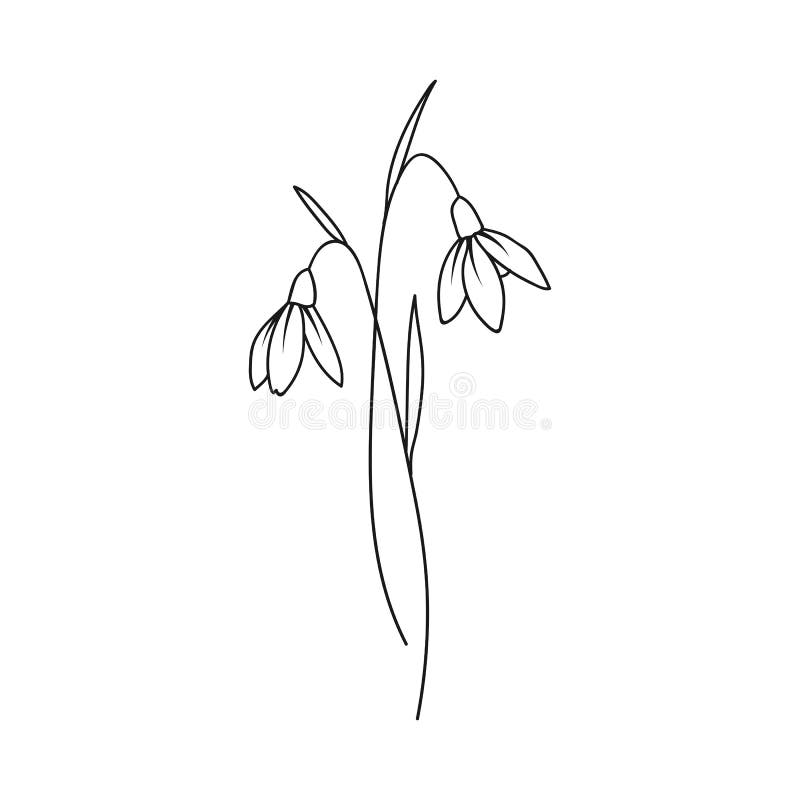 FYeahTattoos.com — Small snowdrop flower Done by Hannah Medeiros at...